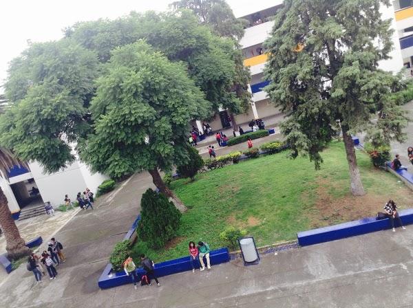 Imagen 46 UNAM Escuela Nacional Preparatoria Plantel 3 Justo Sierra foto