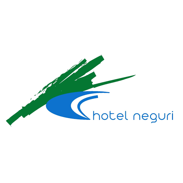 Imagen 21 Hotel Neguri foto