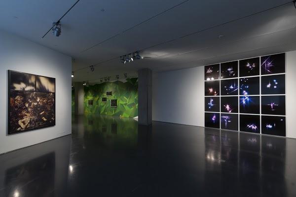 Imagen 8 Restaurante Casa Fernando foto