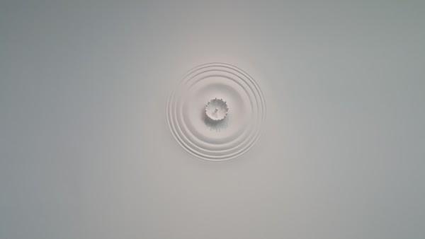 Imagen 10 Restaurante Casa Fernando foto