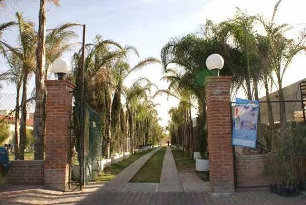 Imagen 22 vivero PARAISO foto