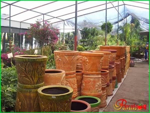 Imagen 25 vivero PARAISO foto