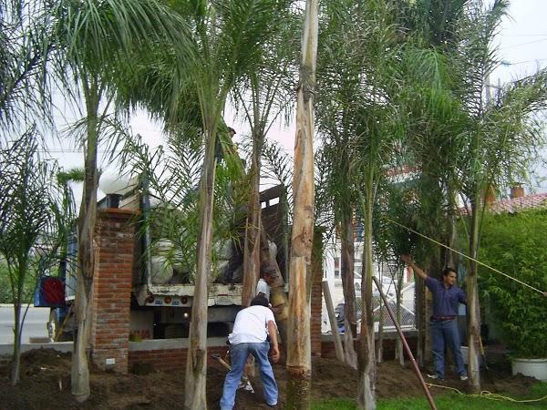 Imagen 29 vivero PARAISO foto