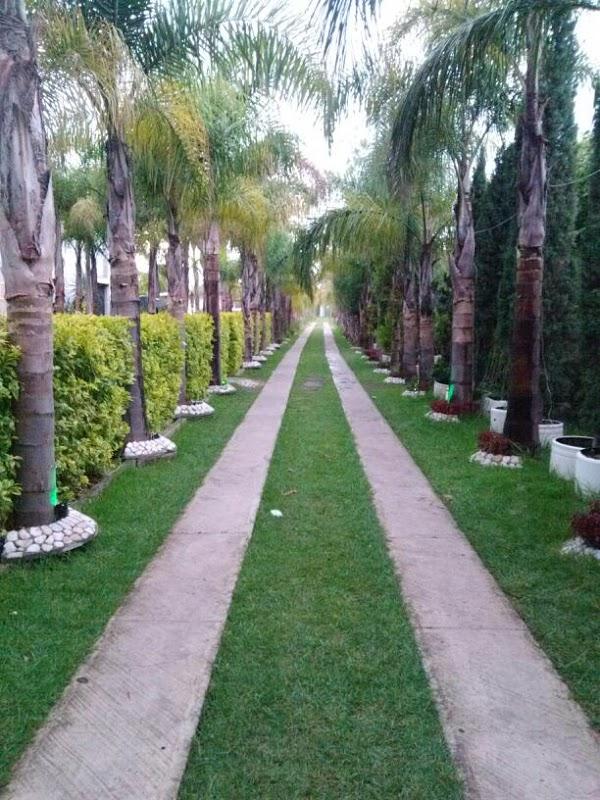 Imagen 34 vivero PARAISO foto