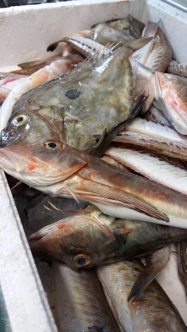 Imagen 36 Coppel Quintana foto