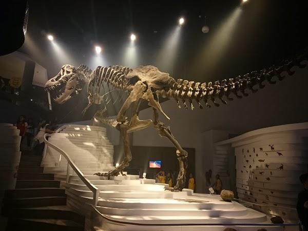 Imagen 14 Moto a Punto C.B. foto