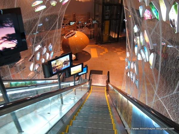 Imagen 19 Moto a Punto C.B. foto