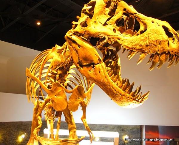 Imagen 7 Moto a Punto C.B. foto