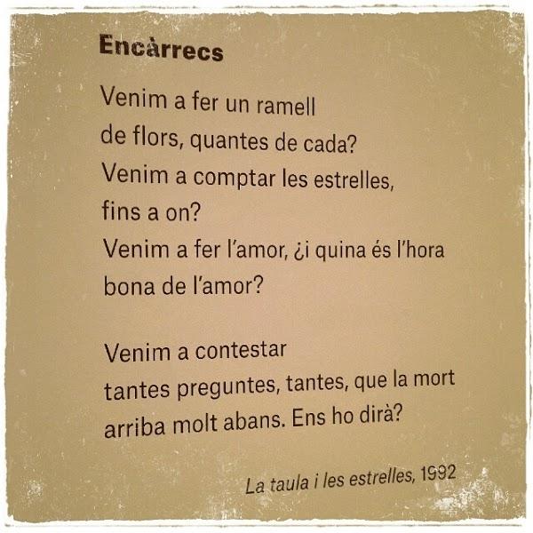 Imagen 34 Mundo Cannabis Grow Shop foto