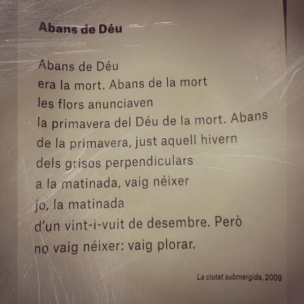 Imagen 35 Mundo Cannabis Grow Shop foto