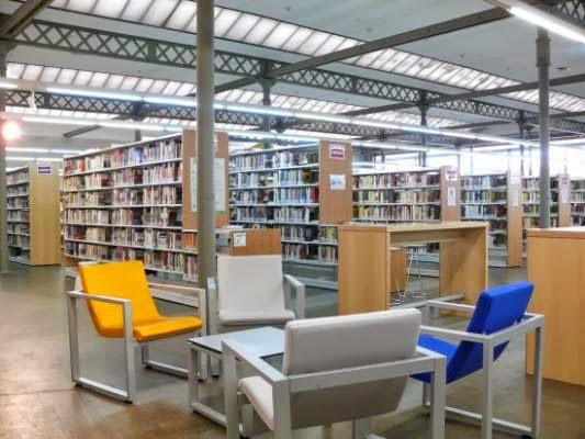 Imagen 5 Mundo Cannabis Grow Shop foto