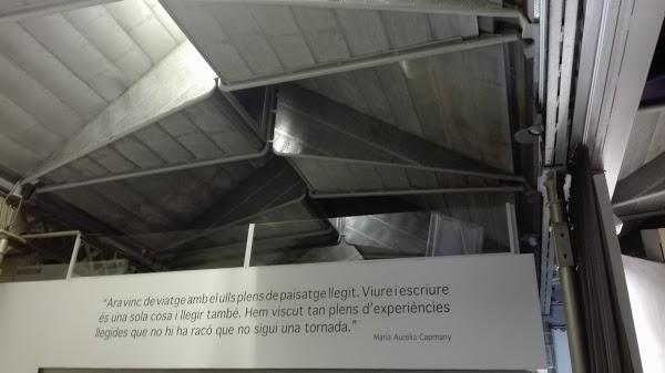 Imagen 43 Mundo Cannabis Grow Shop foto