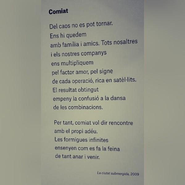 Imagen 45 Mundo Cannabis Grow Shop foto