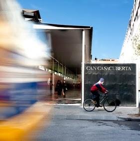 Imagen 10 Mundo Cannabis Grow Shop foto