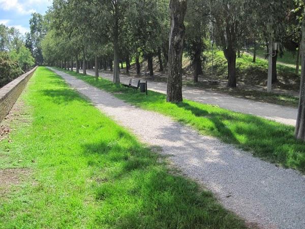 Imagen 11 Toys R Us foto