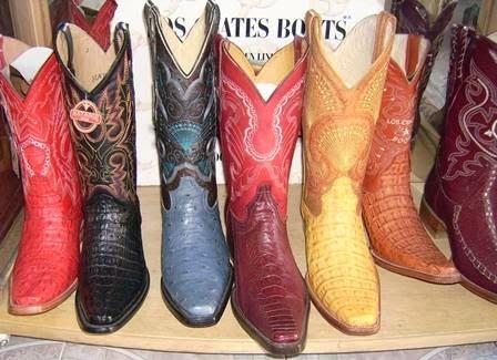 Imagen 14 Real Club de Polo foto