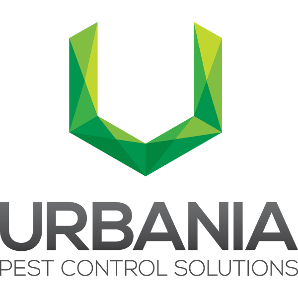 Imagen 10 Bogotá foto