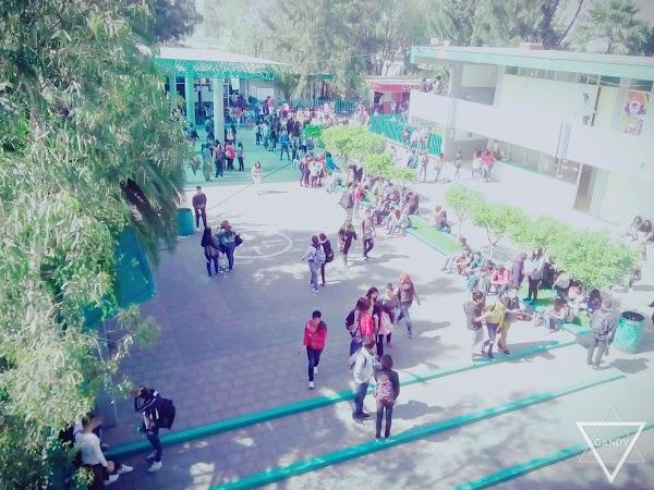 Imagen 197 Colegio de Bachilleres Plantel 12 Nezahualcóyotl foto