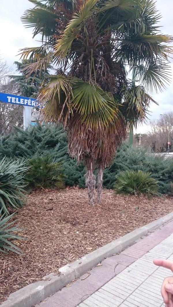 Imagen 11 Restaurante Japones Sakura foto