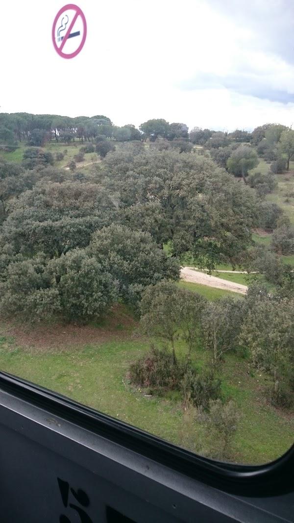 Imagen 12 Restaurante Japones Sakura foto