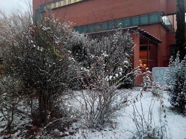 Imagen 20 LePort School Irvine Westpark foto