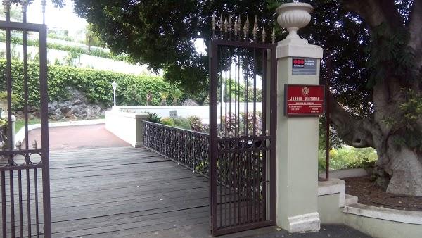 Imagen 30 Restaurante y Cafetería Liceo de Taoro foto