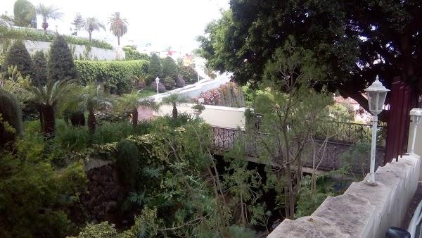 Imagen 33 Restaurante y Cafetería Liceo de Taoro foto