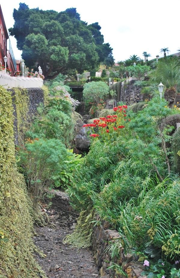 Imagen 47 Restaurante y Cafetería Liceo de Taoro foto