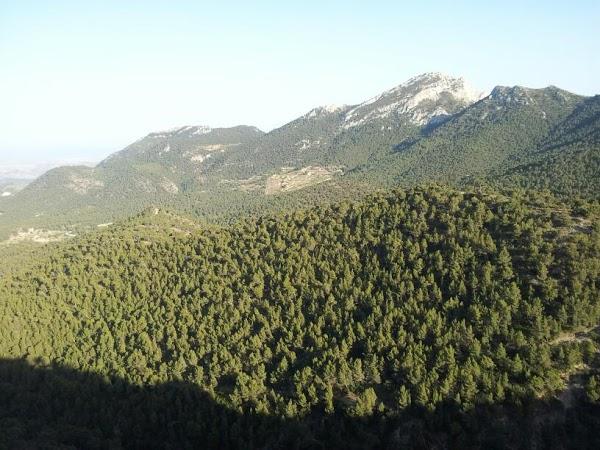 Imagen 11 El Sueño de Mónica foto