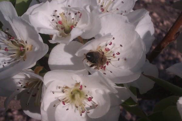Imagen 15 El Sueño de Mónica foto