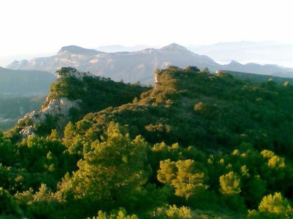 Imagen 3 El Sueño de Mónica foto