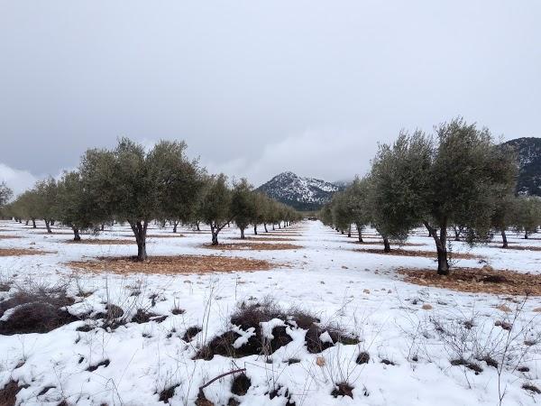 Imagen 36 El Sueño de Mónica foto