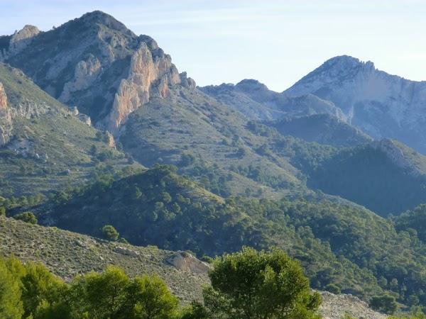 Imagen 6 El Sueño de Mónica foto