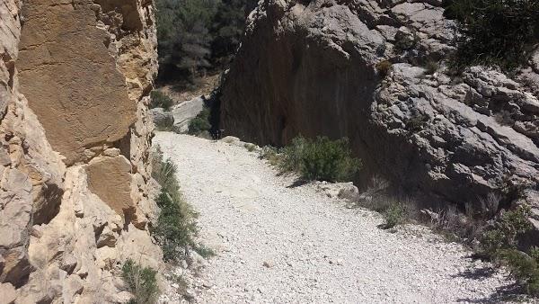 Imagen 60 El Sueño de Mónica foto