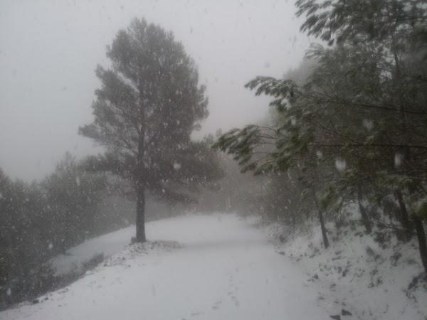 Imagen 7 El Sueño de Mónica foto