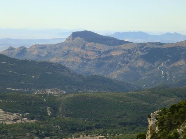 Imagen 8 El Sueño de Mónica foto