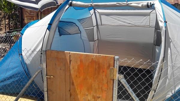 Imagen 77 El Sueño de Mónica foto