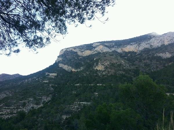 Imagen 10 El Sueño de Mónica foto