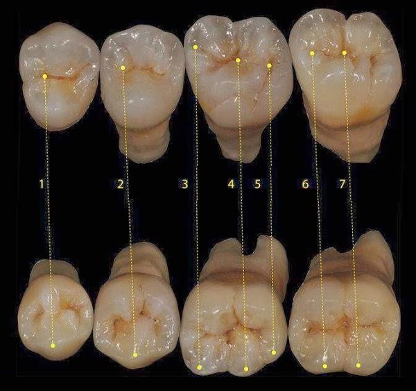 Imagen 37 BLUERAYSERVEIS foto