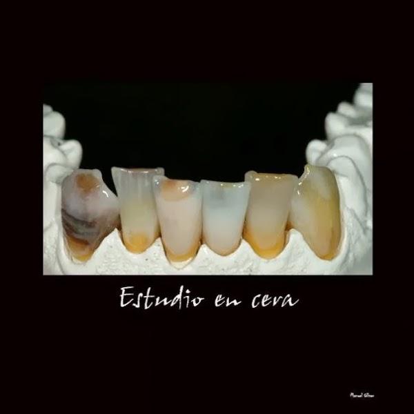 Imagen 10 BLUERAYSERVEIS foto