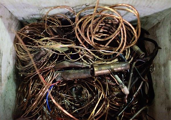 Imagen 8 Ana Conde Moda foto