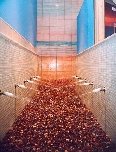 Imagen 23 Shoko Roll sushi foto