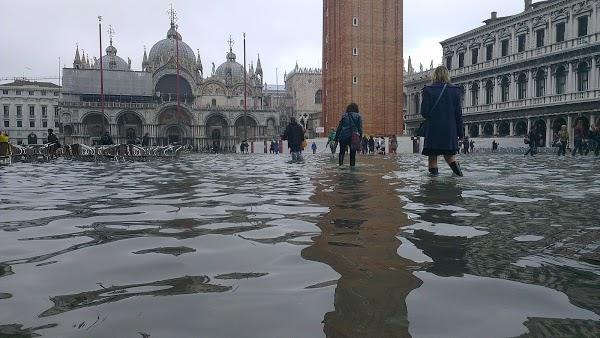 Imagen 7 Sanahuja & Partners foto