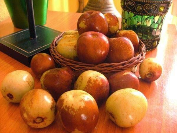 Imagen 18 Inmersa Marketing Group foto