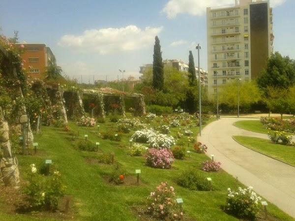 Imagen 11 Naranjas Juan foto