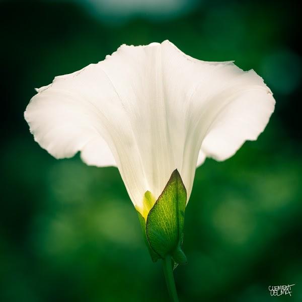 Imagen 18 Naranjas Juan foto