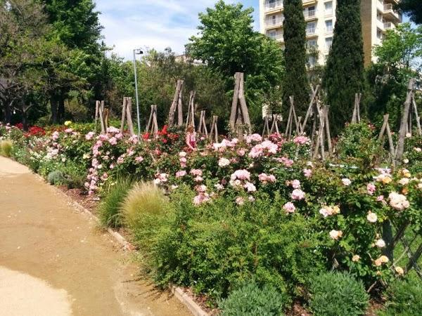 Imagen 7 Naranjas Juan foto