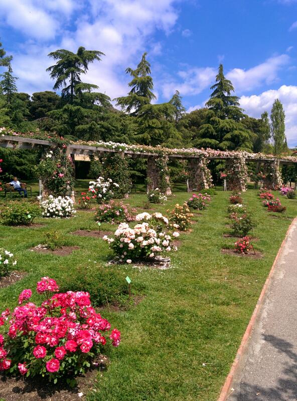 Imagen 8 Naranjas Juan foto