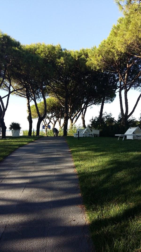 Imagen 37 Instituto de Educacion Secundaria Martinez Montañes foto