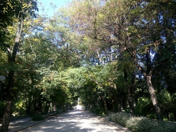 Imagen 11 Refaccionaria Unión foto